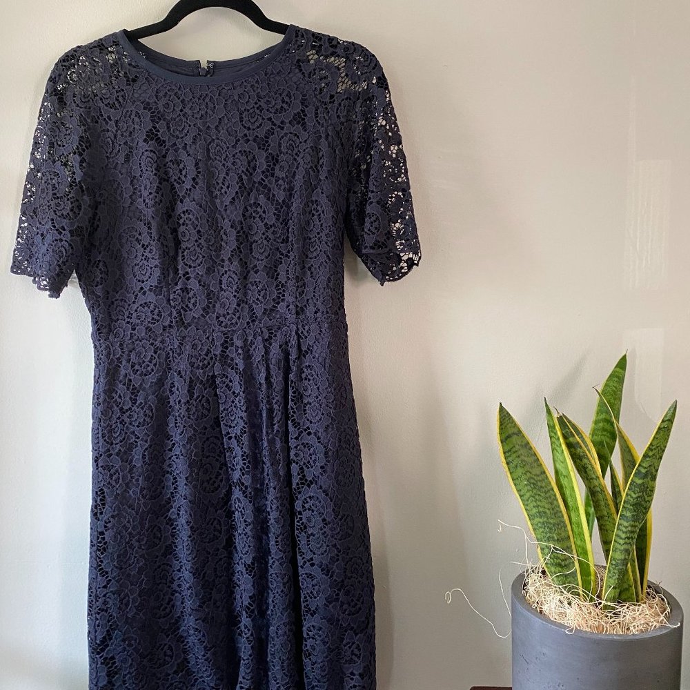 Navy Blue Lace Madewell Dress